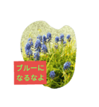 日本の花たちです。（個別スタンプ：6）