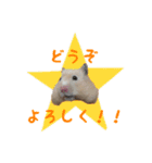 ひのきとしらかば3（個別スタンプ：5）