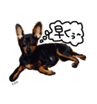 K.O.G DOGS 2018（個別スタンプ：3）
