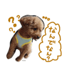 K.O.G DOGS 2018（個別スタンプ：7）