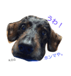 K.O.G DOGS 2018（個別スタンプ：9）