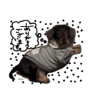 K.O.G DOGS 2018（個別スタンプ：11）