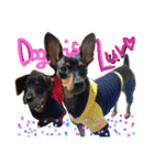 K.O.G DOGS 2018（個別スタンプ：14）