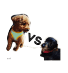 K.O.G DOGS 2018（個別スタンプ：15）