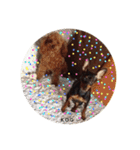 K.O.G DOGS 2018（個別スタンプ：16）