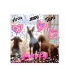 K.O.G DOGS 2018（個別スタンプ：18）