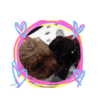 K.O.G DOGS 2018（個別スタンプ：19）