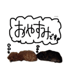 K.O.G DOGS 2018（個別スタンプ：21）