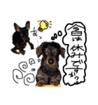 K.O.G DOGS 2018（個別スタンプ：22）