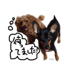 K.O.G DOGS 2018（個別スタンプ：23）