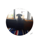 K.O.G DOGS 2018（個別スタンプ：24）