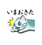 どまねこ（個別スタンプ：3）