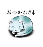 どまねこ（個別スタンプ：4）