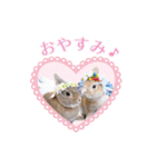 可愛いうさぎさん達のスタンプ（個別スタンプ：6）