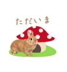 可愛いうさぎさん達のスタンプ（個別スタンプ：7）