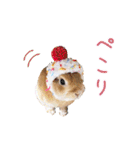 可愛いうさぎさん達のスタンプ（個別スタンプ：10）