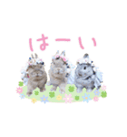 可愛いうさぎさん達のスタンプ（個別スタンプ：12）