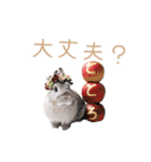 可愛いうさぎさん達のスタンプ（個別スタンプ：20）