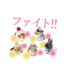 可愛いうさぎさん達のスタンプ（個別スタンプ：21）