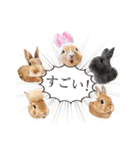 可愛いうさぎさん達のスタンプ（個別スタンプ：26）