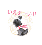 可愛いうさぎさん達のスタンプ（個別スタンプ：33）