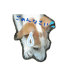 ボルゾイのえるざ（個別スタンプ：5）