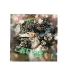 ボルゾイのえるざ（個別スタンプ：14）