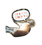 ボルゾイのえるざ（個別スタンプ：15）