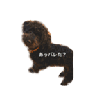 anananco（個別スタンプ：4）
