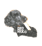 anananco（個別スタンプ：6）