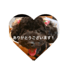 anananco（個別スタンプ：12）