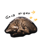 Natsu the Cat #1（個別スタンプ：8）