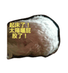 Sleeping Dog.（個別スタンプ：7）