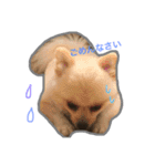 モカコロ2（個別スタンプ：1）