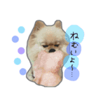 モカコロ2（個別スタンプ：6）