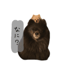 モカコロ2（個別スタンプ：7）