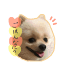 モカコロ2（個別スタンプ：8）