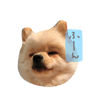 モカコロ2（個別スタンプ：11）