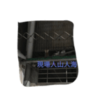 Dalong observer（個別スタンプ：3）