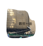 Dalong observer（個別スタンプ：6）