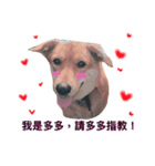 cute puppy love（個別スタンプ：8）