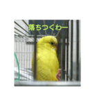 レモンちゃんです（個別スタンプ：6）