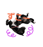 three black dogs（個別スタンプ：26）