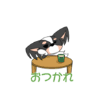 トライカラーのパピヨンくん（個別スタンプ：10）