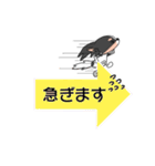 トライカラーのパピヨンくん（個別スタンプ：14）