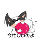 トライカラーのパピヨンくん（個別スタンプ：15）