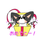 トライカラーのパピヨンくん（個別スタンプ：20）