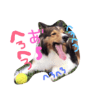 kinakon（個別スタンプ：6）