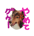 kinakon（個別スタンプ：7）