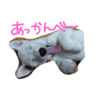 fumiiri（個別スタンプ：5）